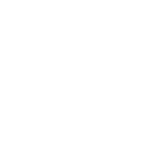 4 (5)